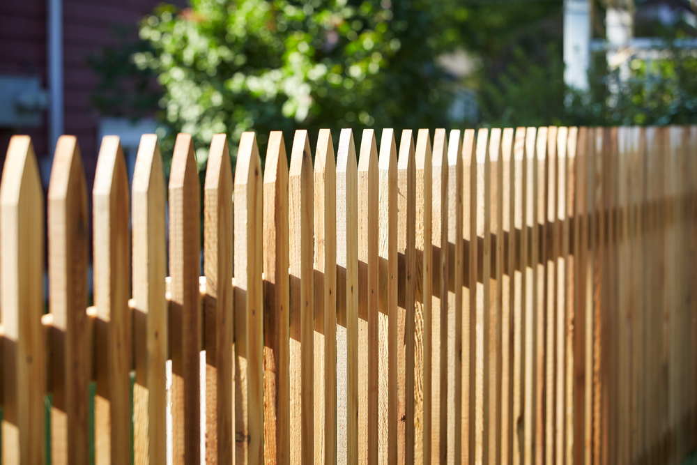 Fencing & Gates