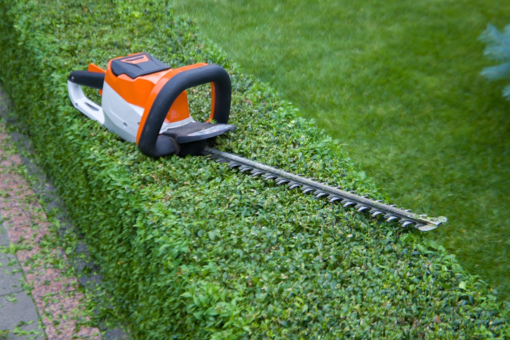 Garden Maintenance